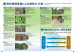 拡大してみる