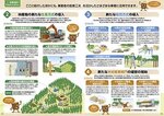 拡大してみる