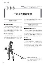 拡大してみる