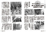 拡大してみる