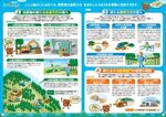 拡大してみる