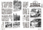 拡大してみる