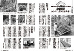 拡大してみる