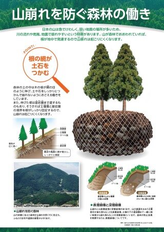 【 自然災害を防ぐ森林の働きシリーズ ２ 】山崩れを防ぐ森林の働き