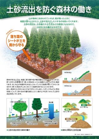 【 自然災害を防ぐ森林の働きシリーズ ３ 】土砂流出を防ぐ森林の働き