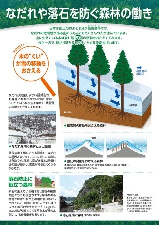 【 自然災害を防ぐ森林の働きシリーズ ５ 】なだれや落石を防ぐ森林の働き