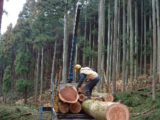 伐採費には伐採、玉切りおよび加美町内製材工場までの輸送費まで含まれている