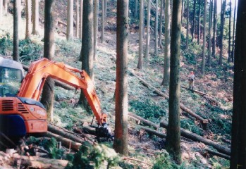 集材作業路上のグラップルと付属ウインチで木寄せする