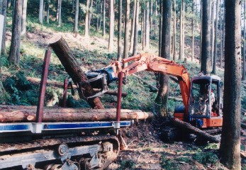 丸太は、グラップルで林内作業車(2.5t積)に積み込み搬出する。機械は大径木を扱う作業に合わせている