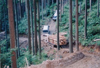 集材作業路は2.5ｍ幅。軽自動車の四駆ならば十分に走行可能。路線計画は入念に行われている