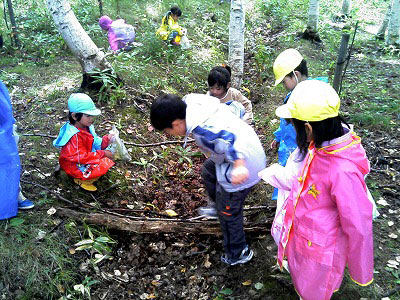 060920森の幼稚園.jpg