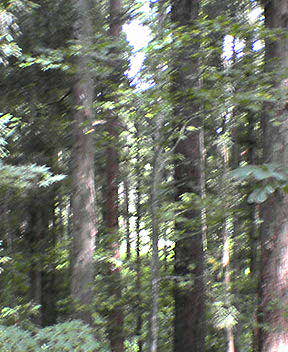 060818-114819.jpg