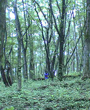 070711-173154.jpg