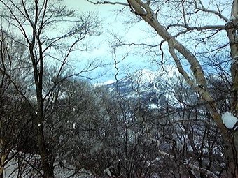DVC000780.jpg