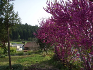 P5070582.jpg