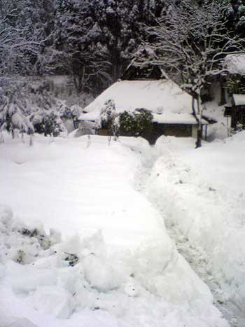 oisakoyuki2011.jpg