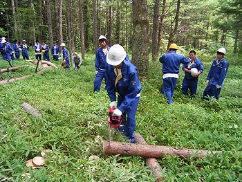 060825usukou1.jpg