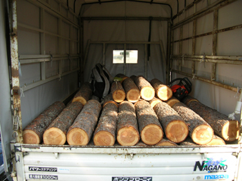 080501log1.jpg