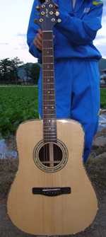 080613a-guitar2.jpg