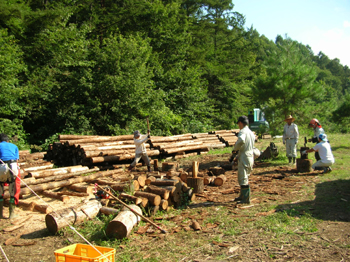 080914firewood2.jpg