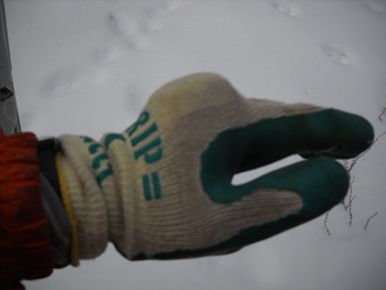 110115glove2.jpg